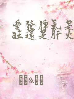 爱发脾气是心火旺还是肝火旺