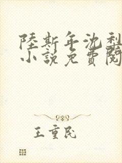 陆斯年沈梨洛的小说免费阅读