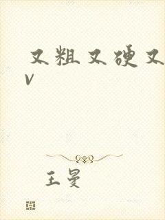 又粗又硬又爽av