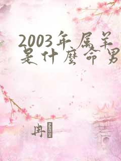2003年属羊是什么命男孩
