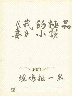 《我的极品未婚妻》小说