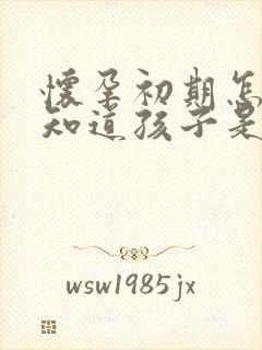 怀孕初期怎么能知道孩子是谁的