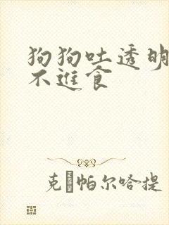 狗狗吐透明粘液不进食