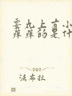 睾丸上有小疙瘩痒痒的是什么