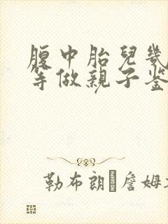 腹中胎儿几个月等做亲子鉴定