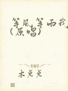 等风等雨我等你(原唱)