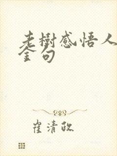 老树感悟人生的金句