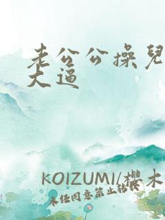 老公公操儿媳妇大逼