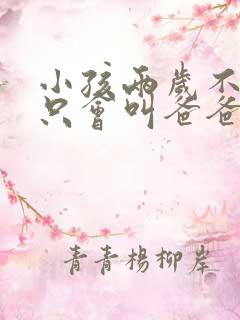 小孩两岁不说话只会叫爸爸妈妈