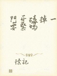 门牙磕掉一小块要紧吗