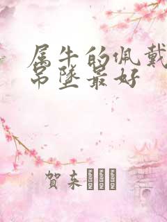 属牛的佩戴什么吊坠最好