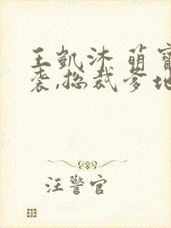 王凯沐 萌宝来袭,总裁爹地太难缠