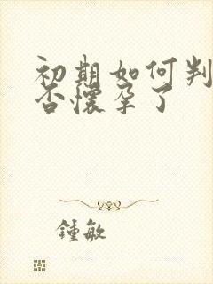 初期如何判断是否怀孕了