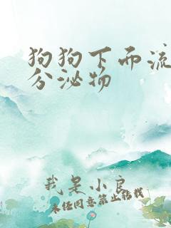 狗狗下面流黄色分泌物