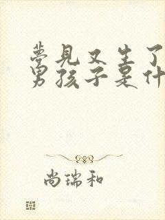 梦见又生了一个男孩子是什么意思