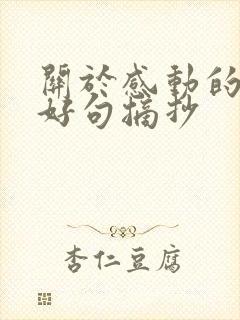 关于感动的好词好句摘抄