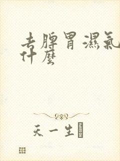 去脾胃湿气重吃什么