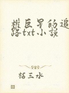 权巨星的追妻之路txt小说