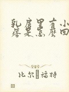 乳房里有小硬疙瘩是怎么回事