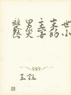 双男主末世文自然灾害的小说推荐