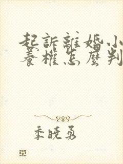 起诉离婚小孩抚养权怎么判