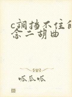 c调挡不住的思念二胡曲