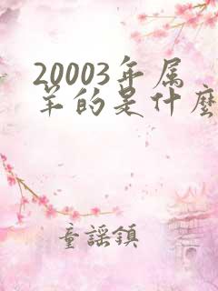 20003年属羊的是什么命