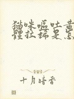 猫咪呕吐黄色液体拉稀是怎么回事