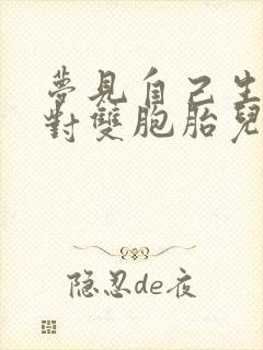 梦见自己生了一对双胞胎儿子