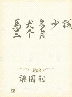 马犬多少钱一只三个月