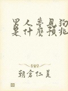 男人梦见狗追咬是什么预兆