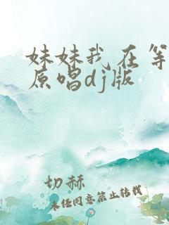 妹妹我在等着你原唱dj版