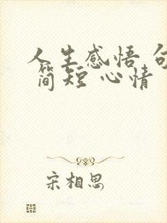 人生感悟 句子 简短 心情