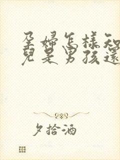 孕妇怎样知道胎儿是男孩还是女孩