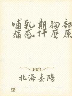 哺乳期胸部有刺痛感什么原因