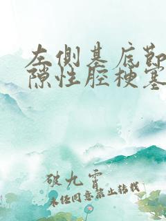 左侧基底节区腔隙性腔梗塞