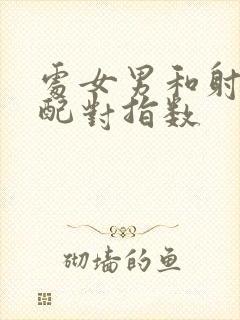 处女男和射手女配对指数