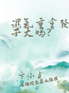 湿气重会发胖肚子大吗?