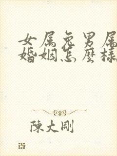 女属兔男属狗的婚姻怎么样