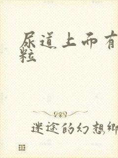 尿道上面有小肉粒