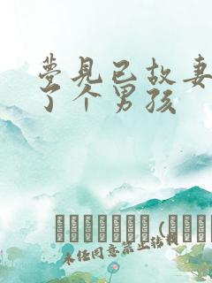 梦见已故妻子生了个男孩