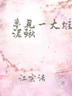 梦见一大堆黄鳝泥鳅