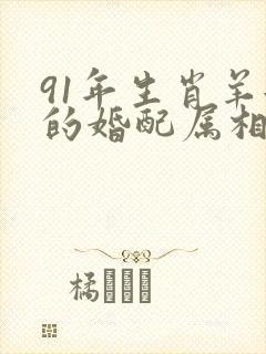 91年生肖羊女的婚配属相