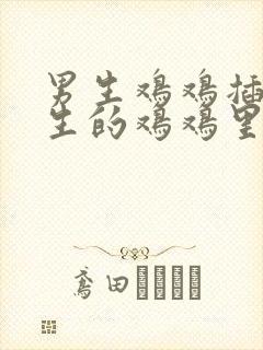 男生鸡鸡插入女生的鸡鸡里