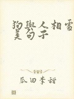 狗与人相处的唯美句子