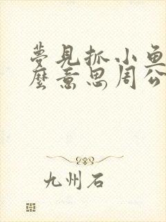 梦见抓小鱼是什么意思周公解梦