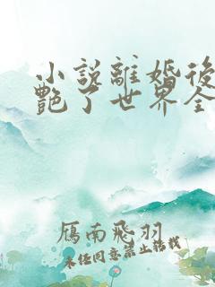 小说离婚后她惊艳了世界全文