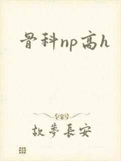 骨科np高h