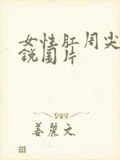 女性肛周尖疣湿锐图片