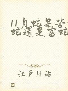 11月蛇是苦命蛇还是富蛇